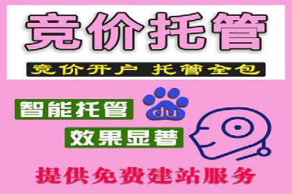 谷歌竞价案例：快速提升品牌影响力的广告策略